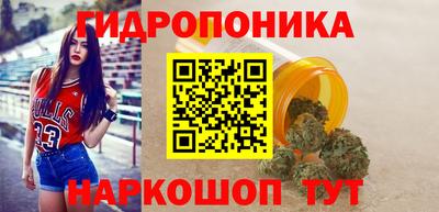 spice Обнинск