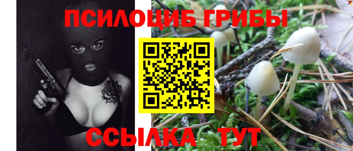 Галлюциногенные грибы MAGIC MUSHROOMS Советск