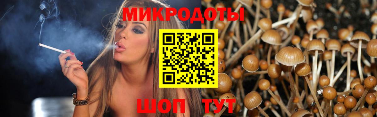 Галлюциногенные грибы ЛСД  Вход с VPN  Советск  Псилоцибиновые грибы Psilocybe 